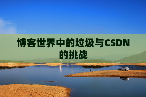 博客世界中的垃圾与CSDN的挑战